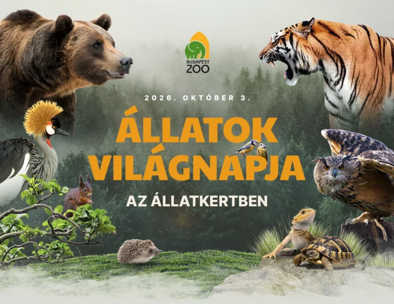 Állatok Világnapja az Állatkertben 2026