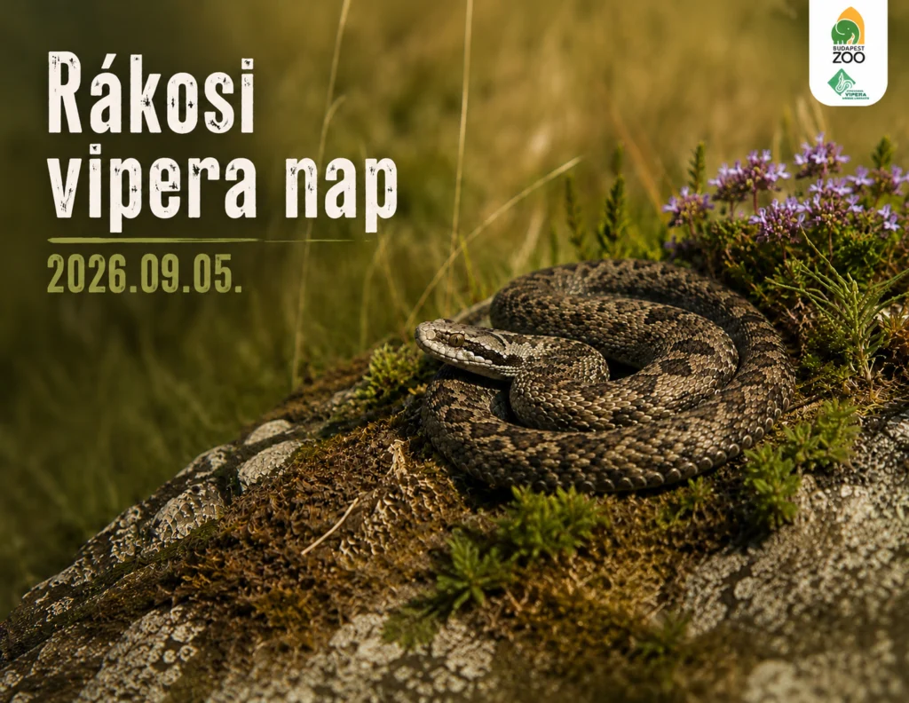 Rákosi vipera nap 2026