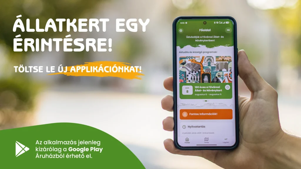 Állatkerti mobil applikáció