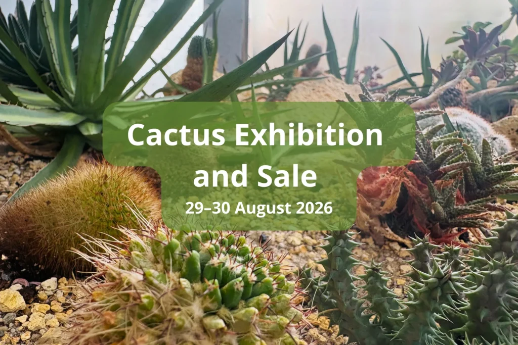 Cactus Exhibition and Sale