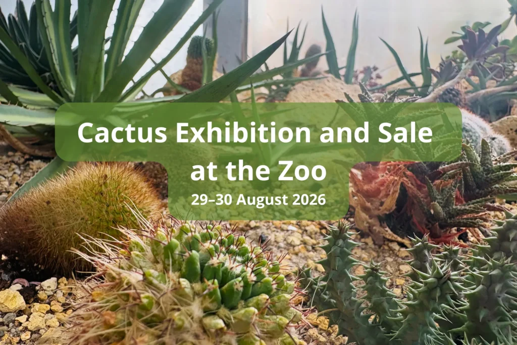 Cactus Exhibition and Sale at the Zoo