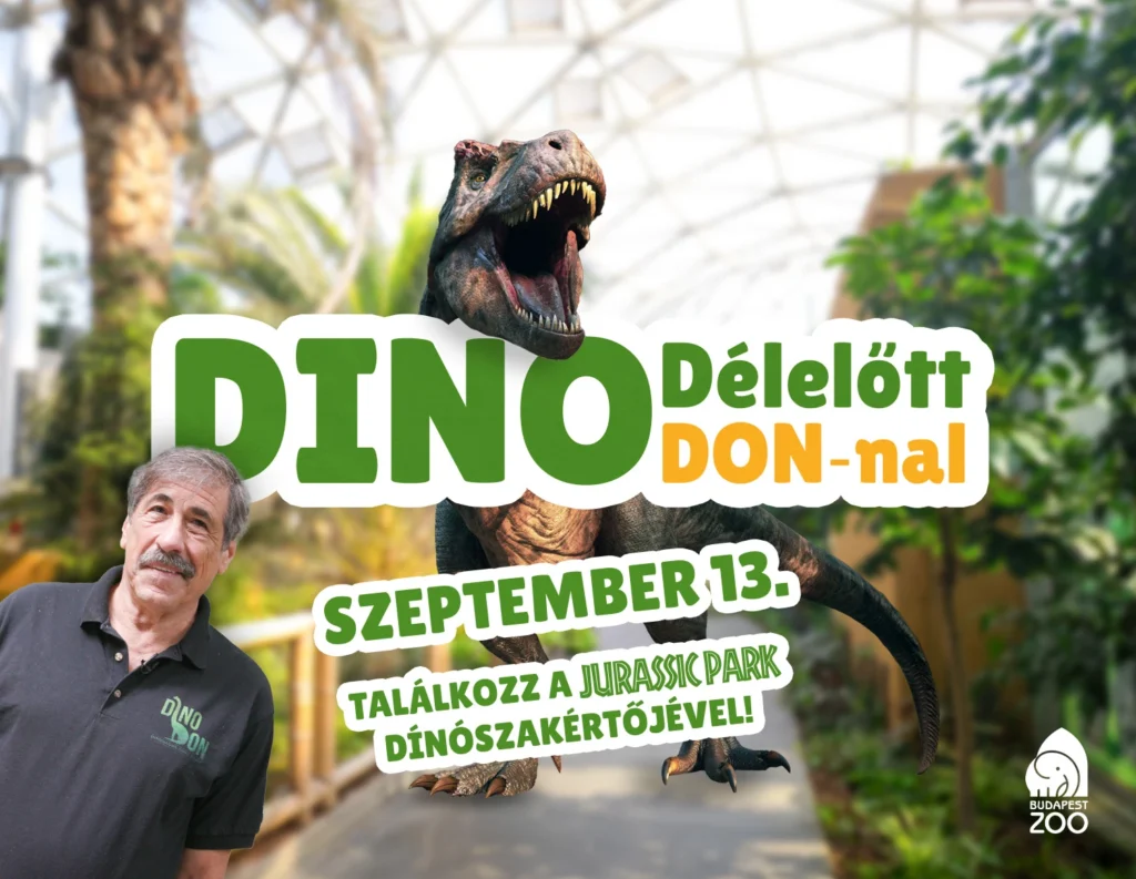 Dínó délelőtt Don-nal