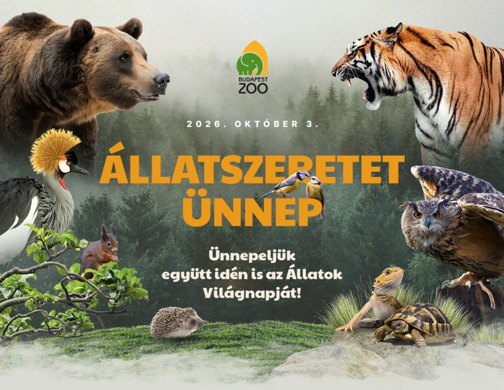 Állatszeretet Ünnep 2026 - Ünnepeljük együtt az állatok világnapját!