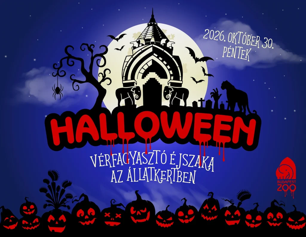 Vérfagyasztó éjszaka az Állatkertben - Halloween 2026