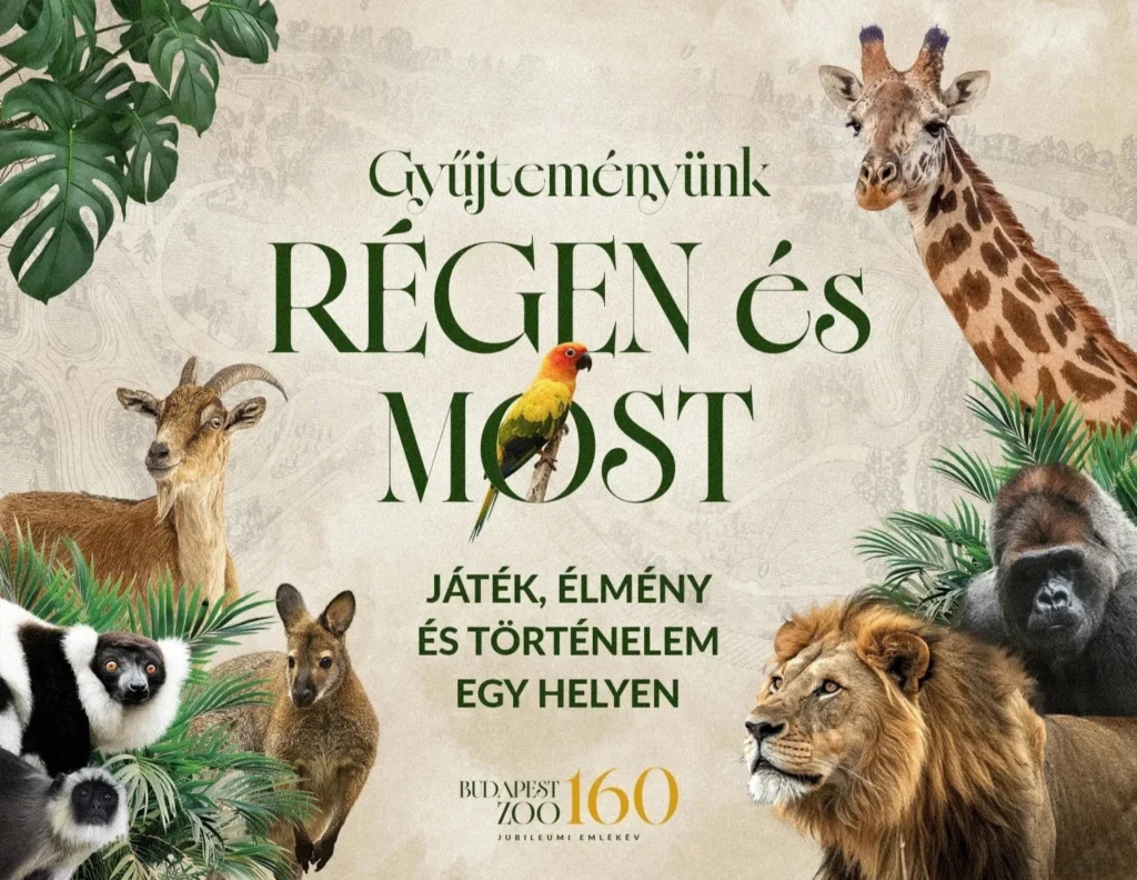 Gyűjteményünk régen és most