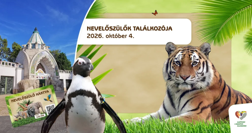 Nevelőszülők Találkozója 2026 ősz