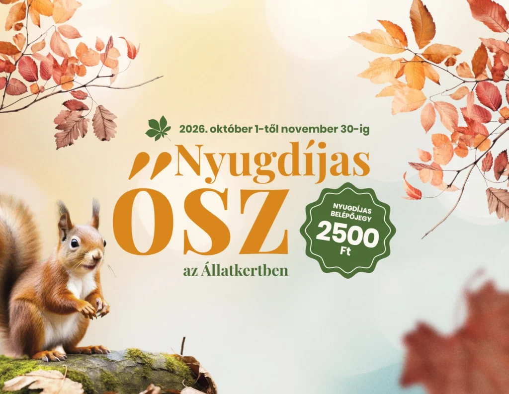 Nyugdíjas ősz az Állatkertben 2026-ban is.