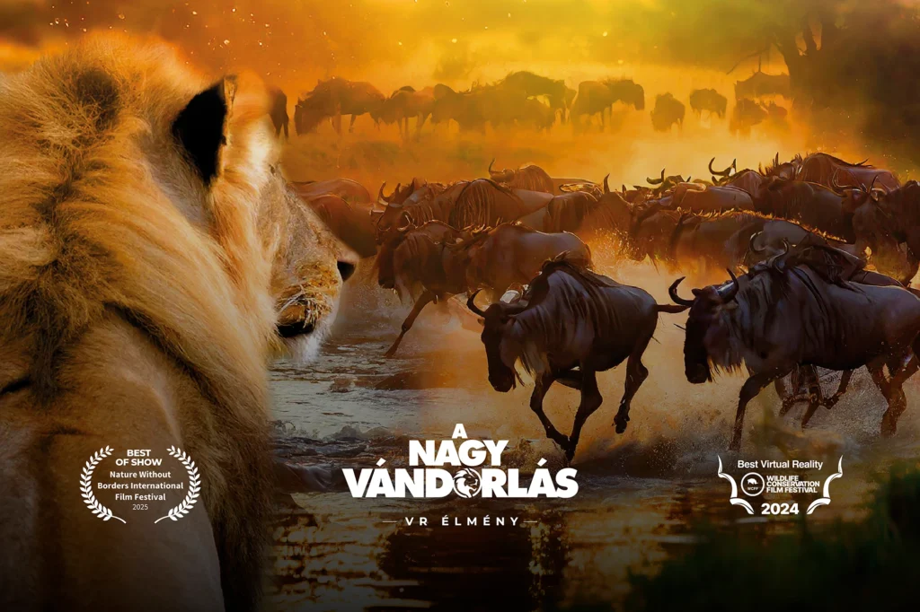 Nagy vándorlás VR élmény