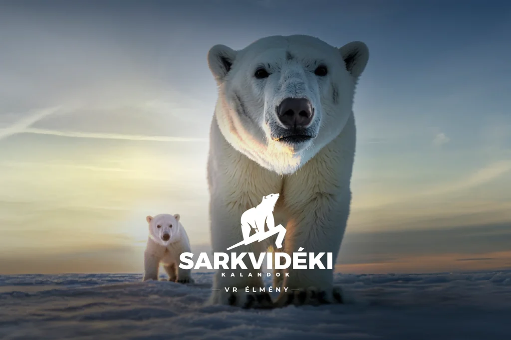 Sarkvidéki kaland VR élmény